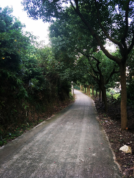 山间小路