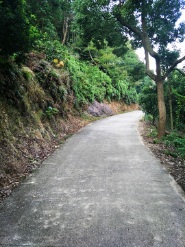 山间小路