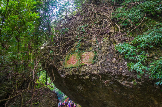 窦团山