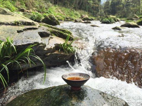 张家界金鞭溪上品茶