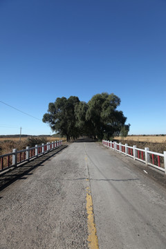 田间路