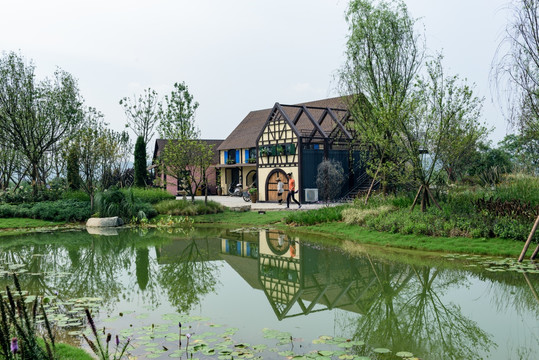 公园睡莲池塘边的小屋