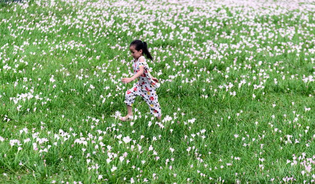 韭菜花地小女孩