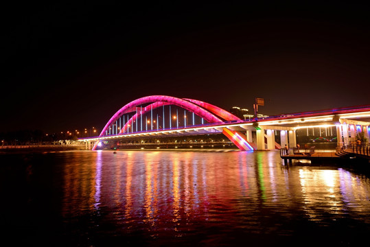 金华双龙大桥夜景紫色