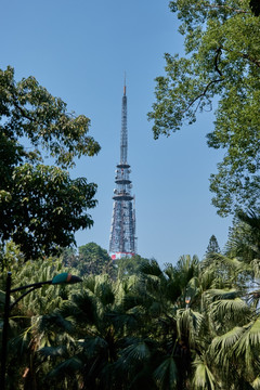 广东电视塔