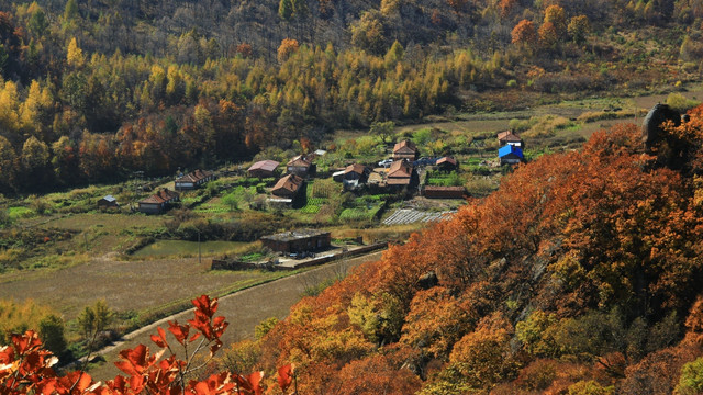 深山密林有人家