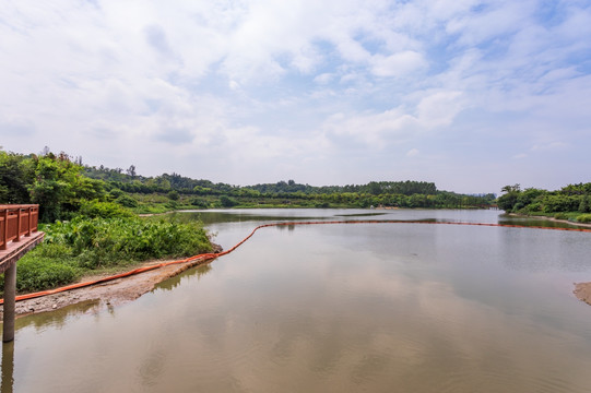 湿地公园素材