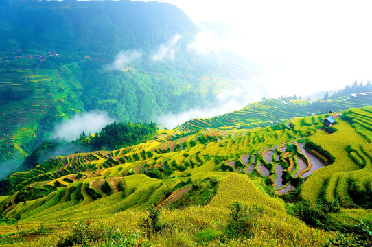 贵州黔东南从江县加榜梯田秋景