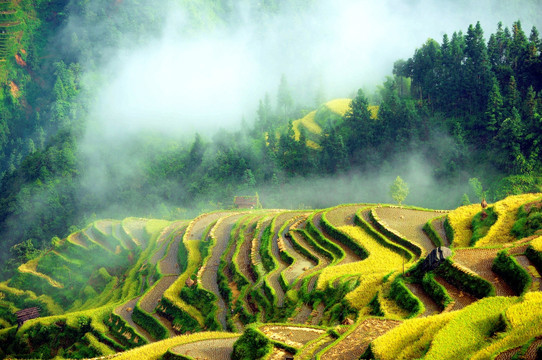 贵州黔东南从江县加榜梯田秋景