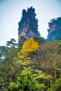 张家界武陵源大氧吧广场