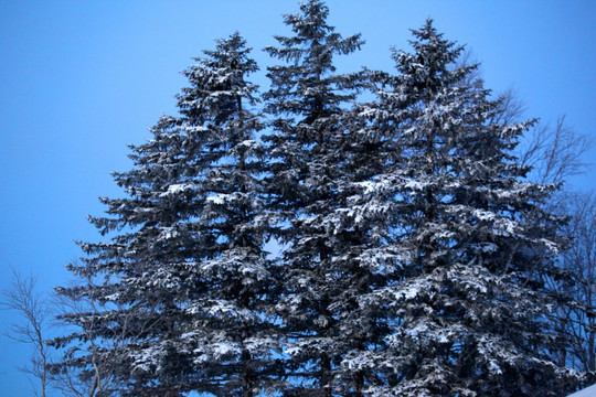 高清雪乡