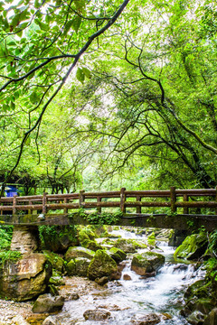 青城后山石桥