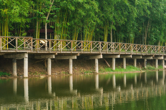 铜梁龙景区