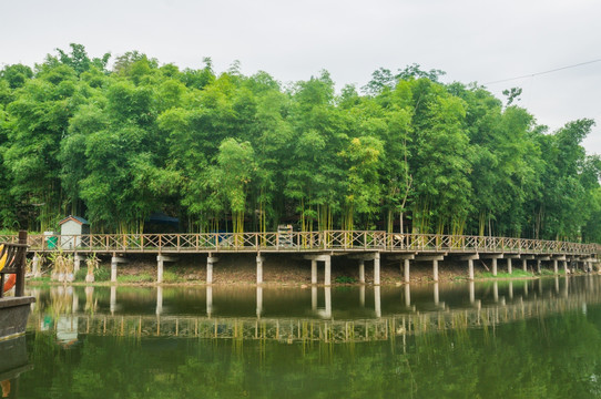 铜梁龙景区