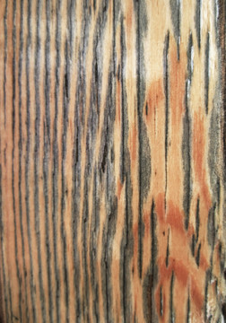 木缝木纹