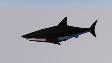 鲨鱼低面体模型and有简单动画