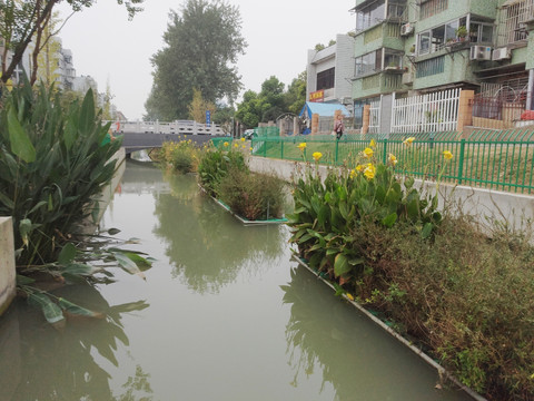 水中风景