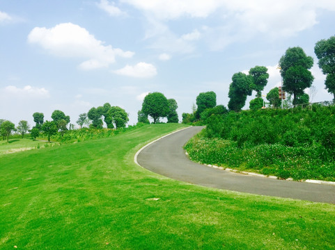 高尔夫球场草坪