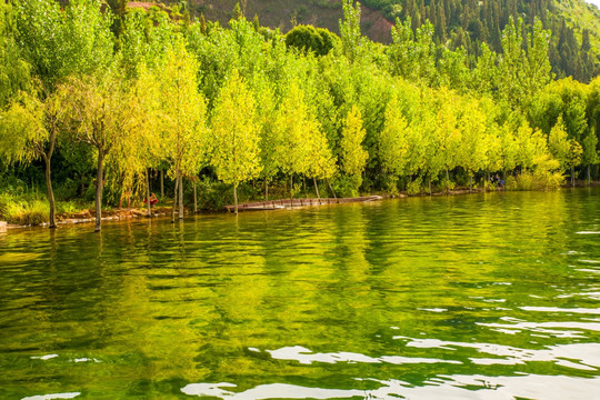 抚仙湖湿地