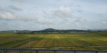 田园