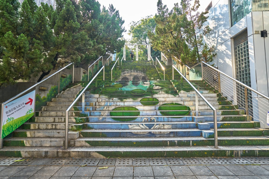 公园彩色阶梯