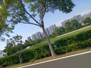 公路边