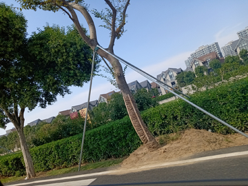 公路边