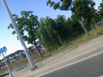公路边