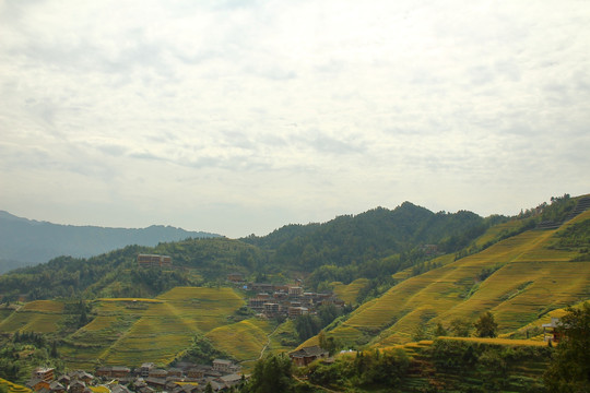 龙胜梯田景