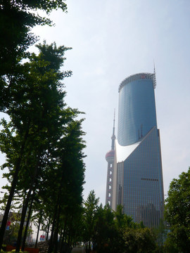 上海陆家嘴高楼大厦
