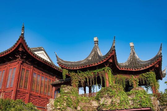 梅湖景区