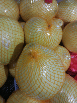 柚子