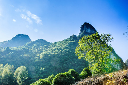 山景自然风光