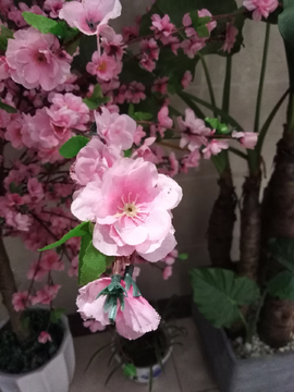 桃花 花朵 花 假花