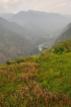 高山峡谷