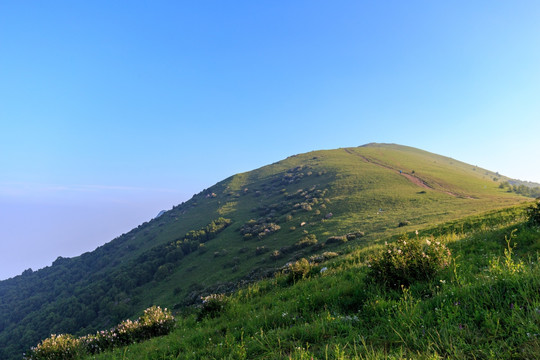 北京延庆海坨山高山草甸