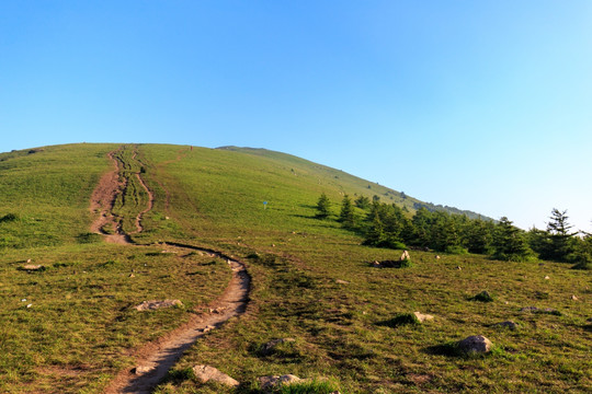 北京延庆海坨山高山草甸