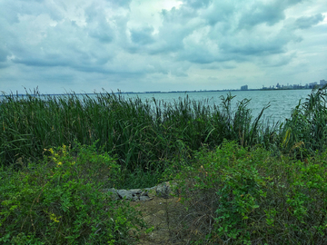 阳澄湖畔风景