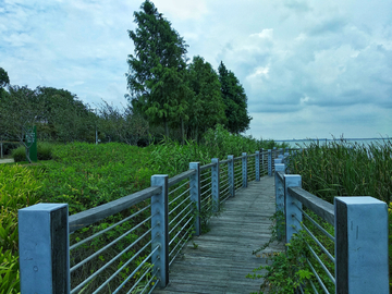 阳澄湖畔风景