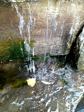 落花流水