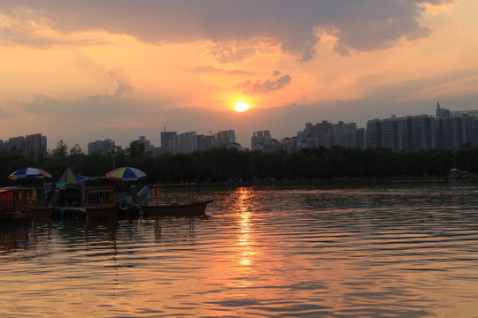 洛阳隋唐遗址植物园