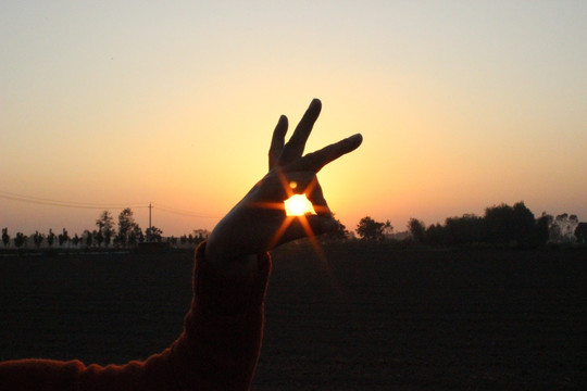 夕阳黄昏剪影手影