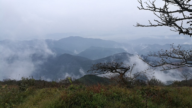 宁波宁海茶山磨柱峰风光