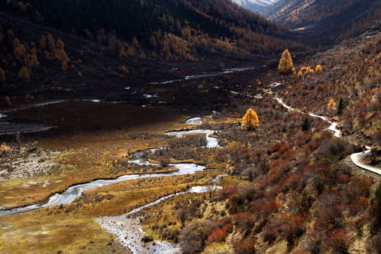 峡谷秋色