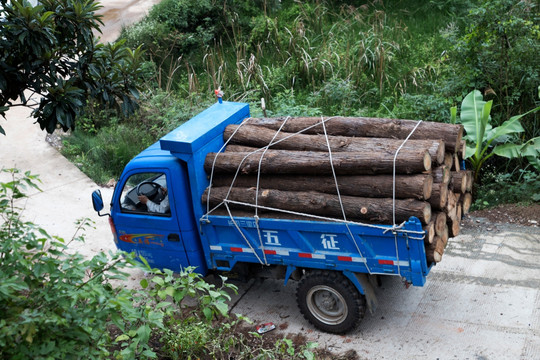 木材运输