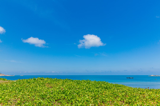 汕尾红海湾