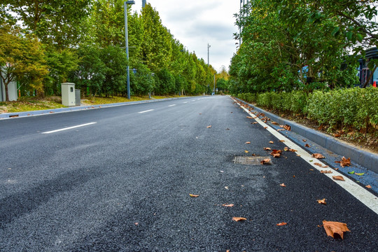 林荫大道