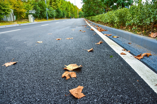 林荫大道