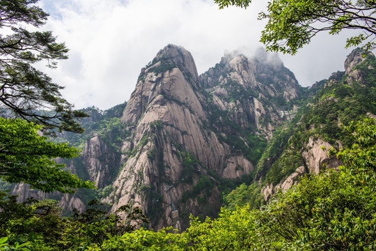 黄山云雾缠绕