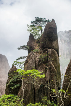 黄山奇峰怪石